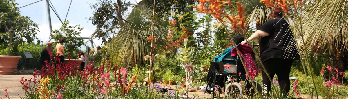 A wheelchair user being supported along a wide path inside an Eden Project Biome
