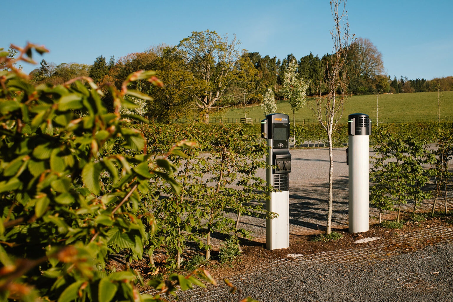 Accessible parking and arrival area at Raby Castle
