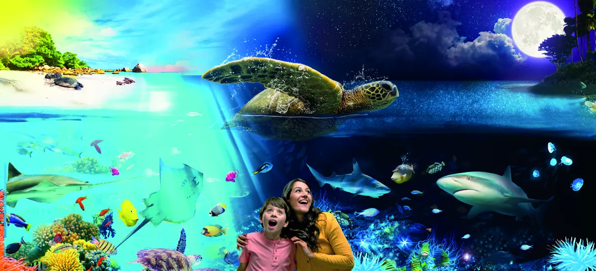 Ocean display at SEA LIFE Brighton