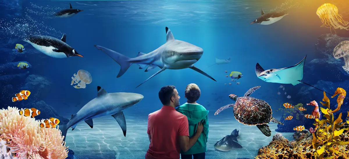Aquarium display at SEA LIFE Loch Lomond