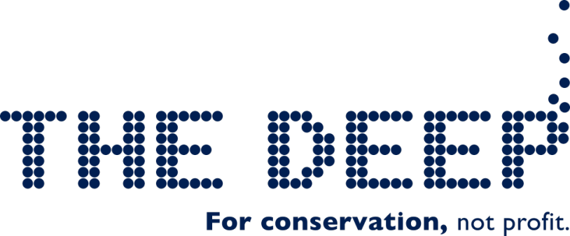 The Deep logo