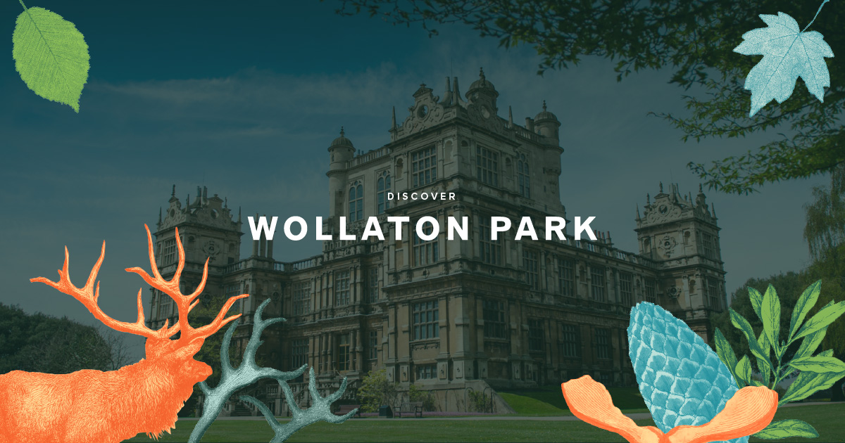 Wollaton Hall and Deer Park visitor artwork